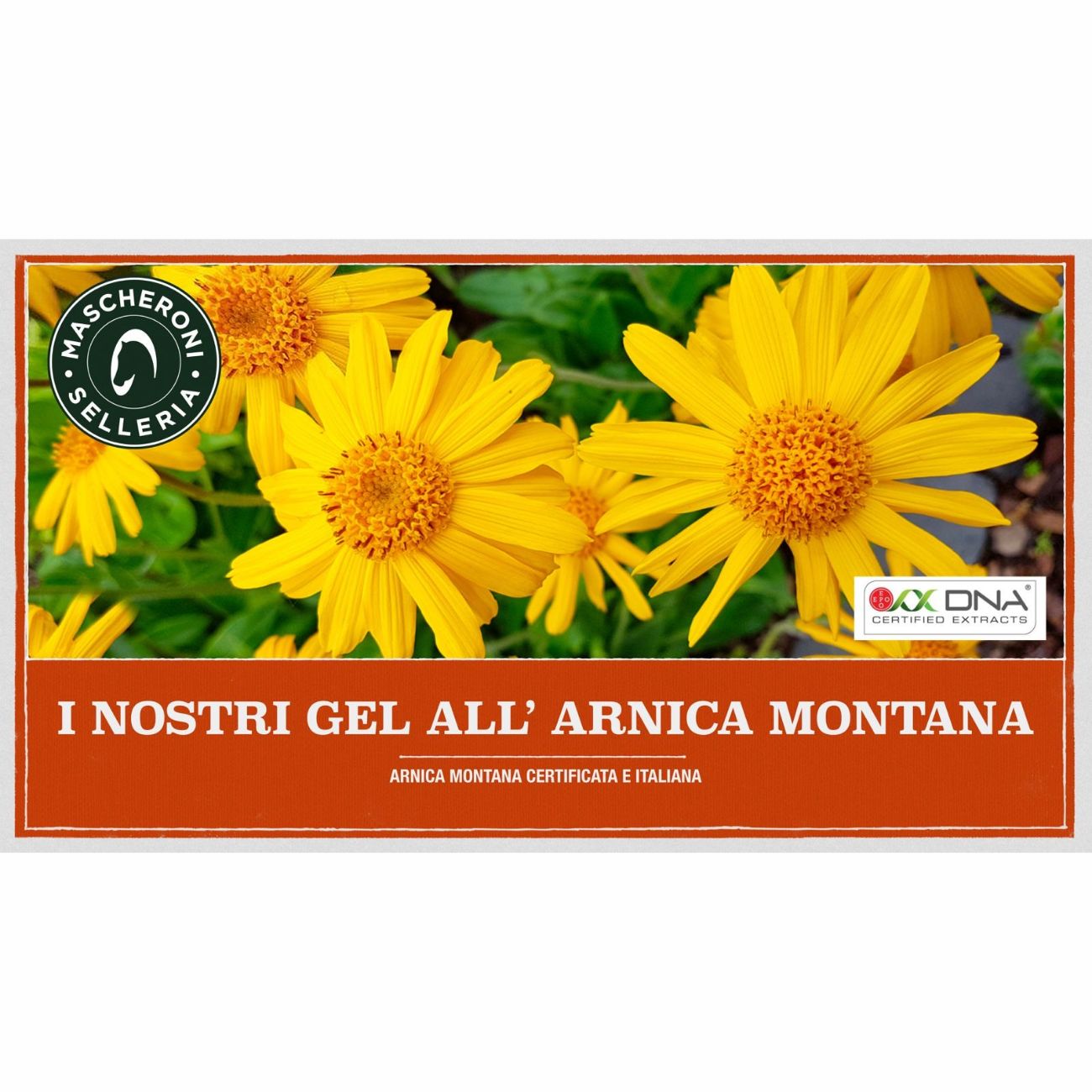 MASCHERONI SELLERIA ARNICA FREEZE - 500ML MC0006 NEUTRO 