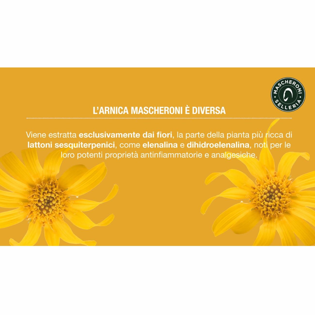 MASCHERONI SELLERIA ARNICA FREEZE - 500ML MC0006 NEUTRO 
