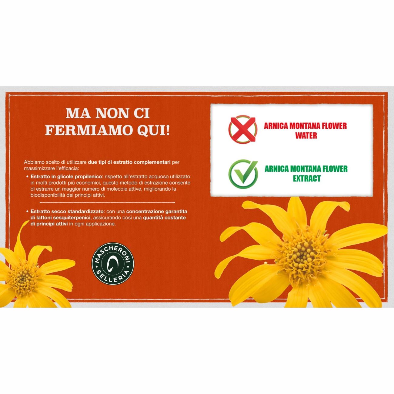 MASCHERONI SELLERIA ARNICA FREEZE - 500ML MC0006 NEUTRO 