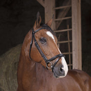 NORTON Tesiera Pro Bridle Norton 301827 BLACK 