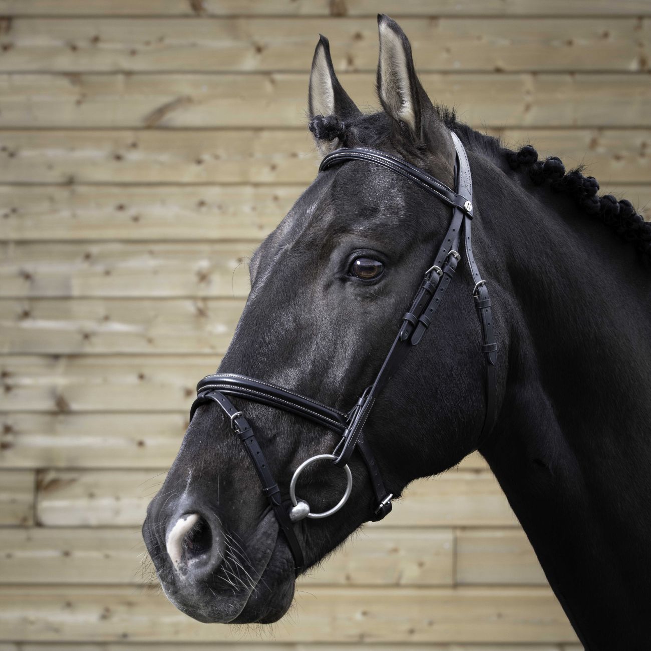 NORTON Tesiera Pro Bridle Norton 301827 BLACK 