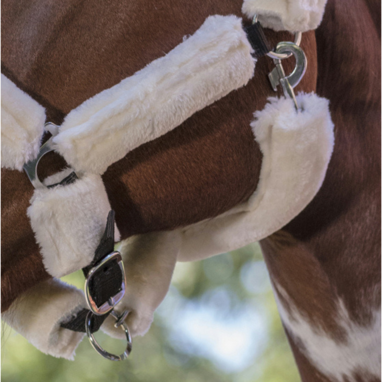 NORTON Capezza Cavallo Con Pelo Norton 510015 325 BLACK/ECRU 