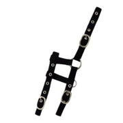 NORTON NORTON Capezza Foal Regolabile Norton Black Capezzini E Capezze 510033 002BLACK 