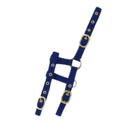 NORTON NORTON Capezza Foal Regolabile Norton Blue Capezzini E Capezze 510033 006BLUE 