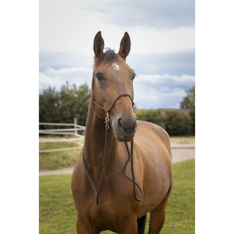 NORTON NORTON Briglia Ethological Con Redini Norton Brown Briglie 510155 004 BROWN 