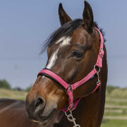 NORTON NORTON 4Lines Halter Norton Oldpink Capezzini E Capezze 510246 006OLDPINK 