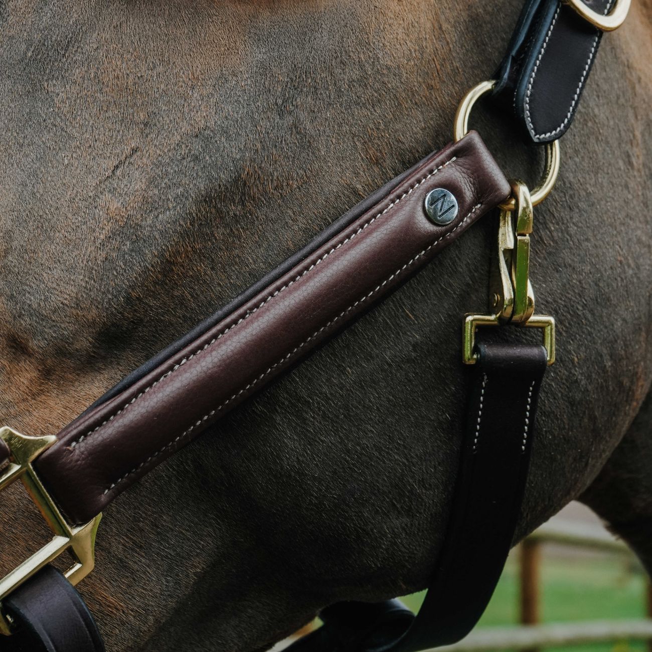 NORTON Capezza Spring Grooming Norton Marrone 510324 HAVANA 