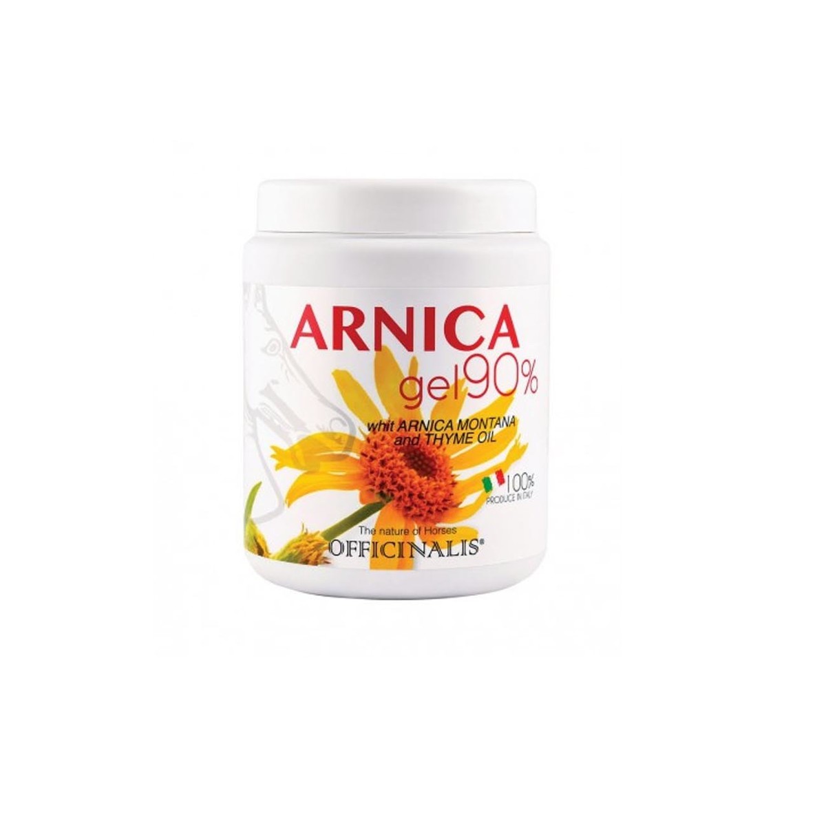 OFFICINALIS Arnica Gel 90% 500ml Officinalis OFF-ARNICA500 NEUTRO 
