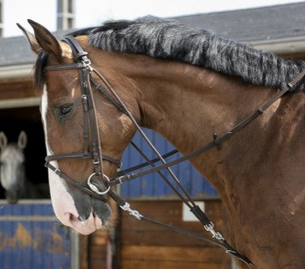 RIDING WORLD RIDING WORLD Gogue Con Moschettoni BLACK salvaschiena per sella inglese 306396 102BLACK 