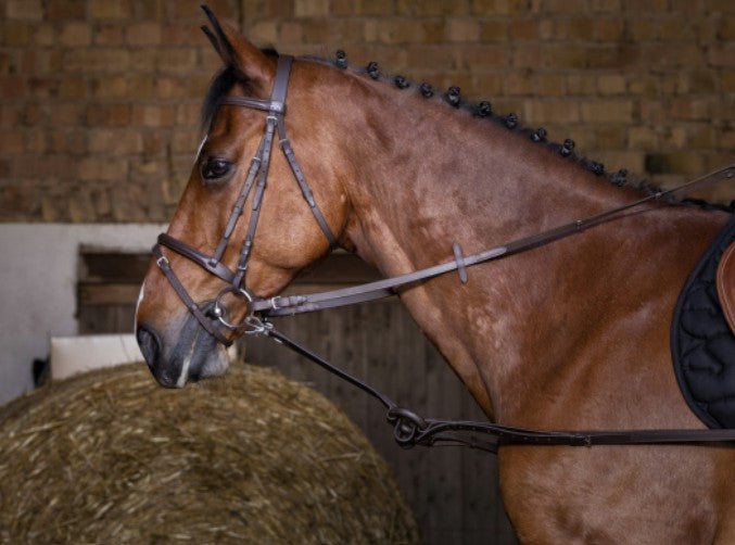 RIDING WORLD RIDING WORLD Rubber Side Reins BROWN salvaschiena per sella inglese 306418 018BROWN 