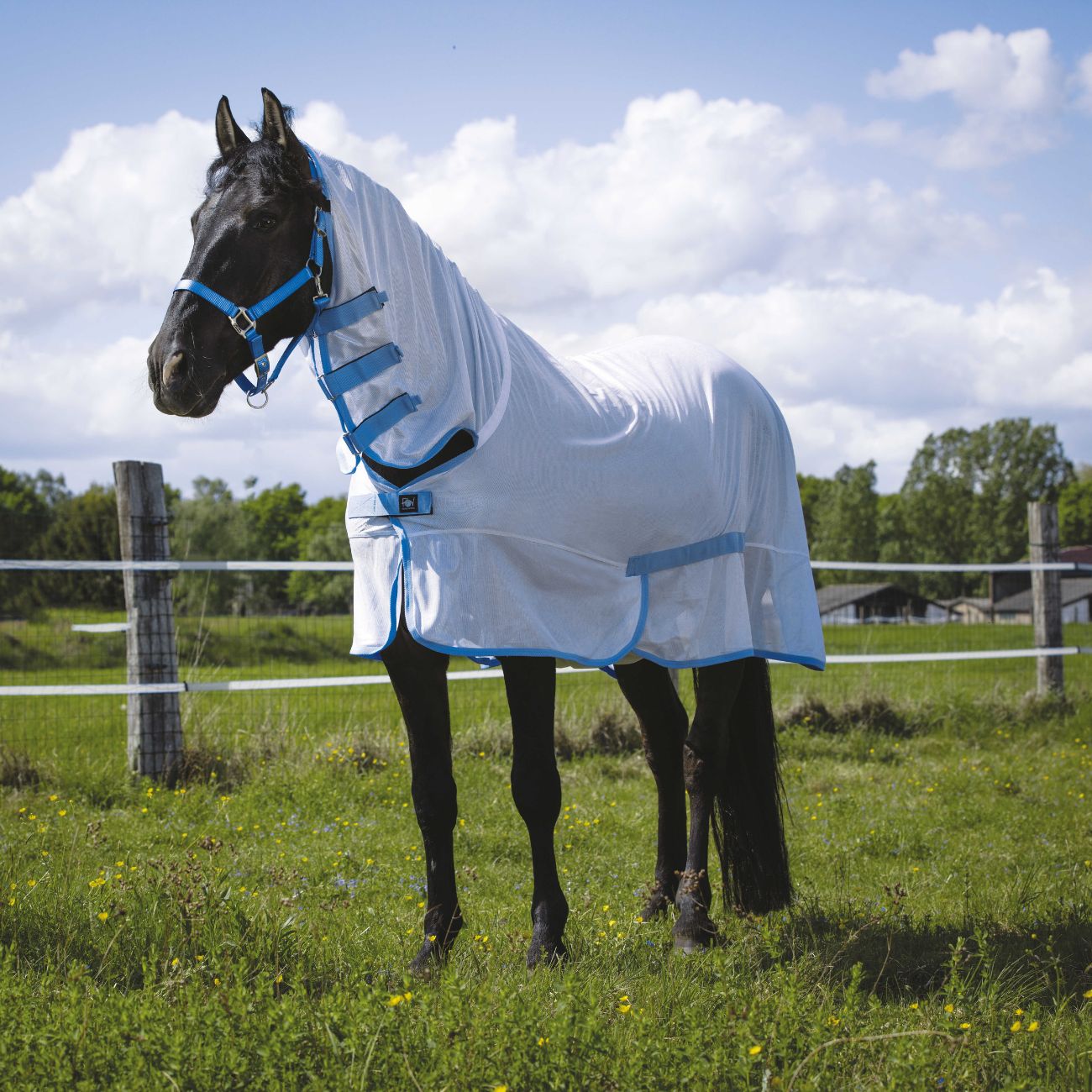 RIDING WORLD Coperta Antimosche In Rete Rw Mesh Sheet Cmb Riding World 400000 WHITE 