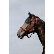 RIDING WORLD RIDING WORLD Cushing Nylon Headcollar Riding World BURGUNDY salvaschiena per sella inglese 510258 133BURGUNDY 