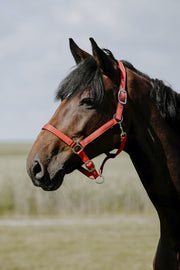 RIDING WORLD RIDING WORLD Cushing Nylon Headcollar Riding World RED salvaschiena per sella inglese 510258 203RED 