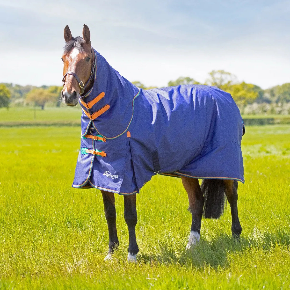 SHIRES EQUESTRIAN SHIRES EQUESTRIAN COPERTA DA PADDOCK CON COLLO 100 GR Blu COPERTE DA PADDOCK 32SH-9395 NAVY 