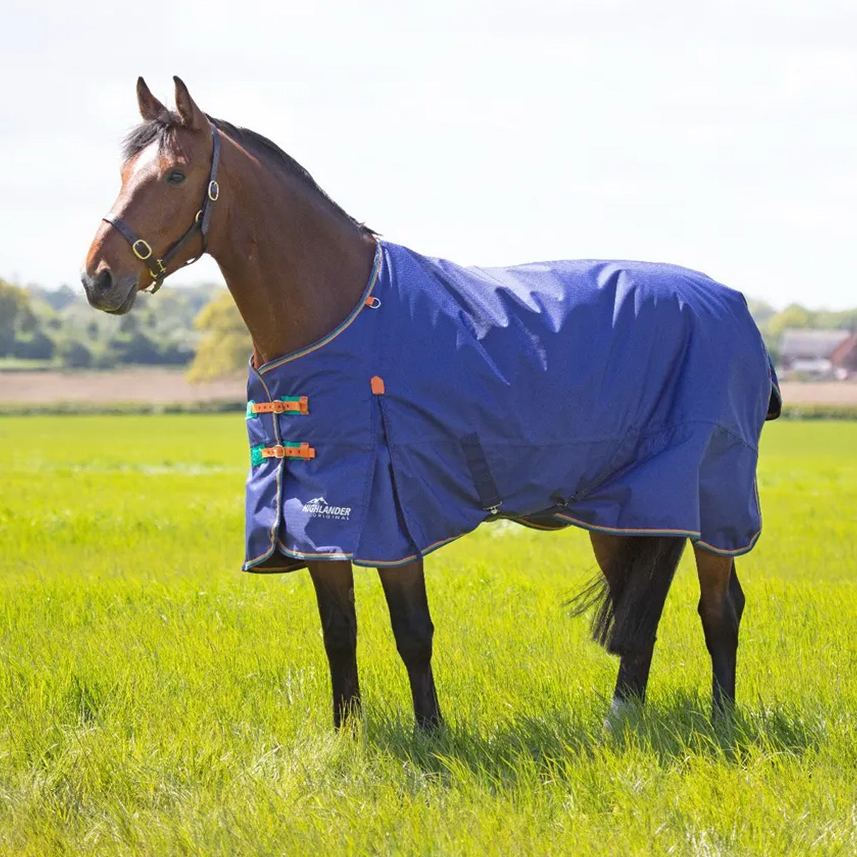 SHIRES EQUESTRIAN SHIRES EQUESTRIAN COPERTA DA PADDOCK CON COLLO 100 GR Blu COPERTE DA PADDOCK 32SH-9395 NAVY 