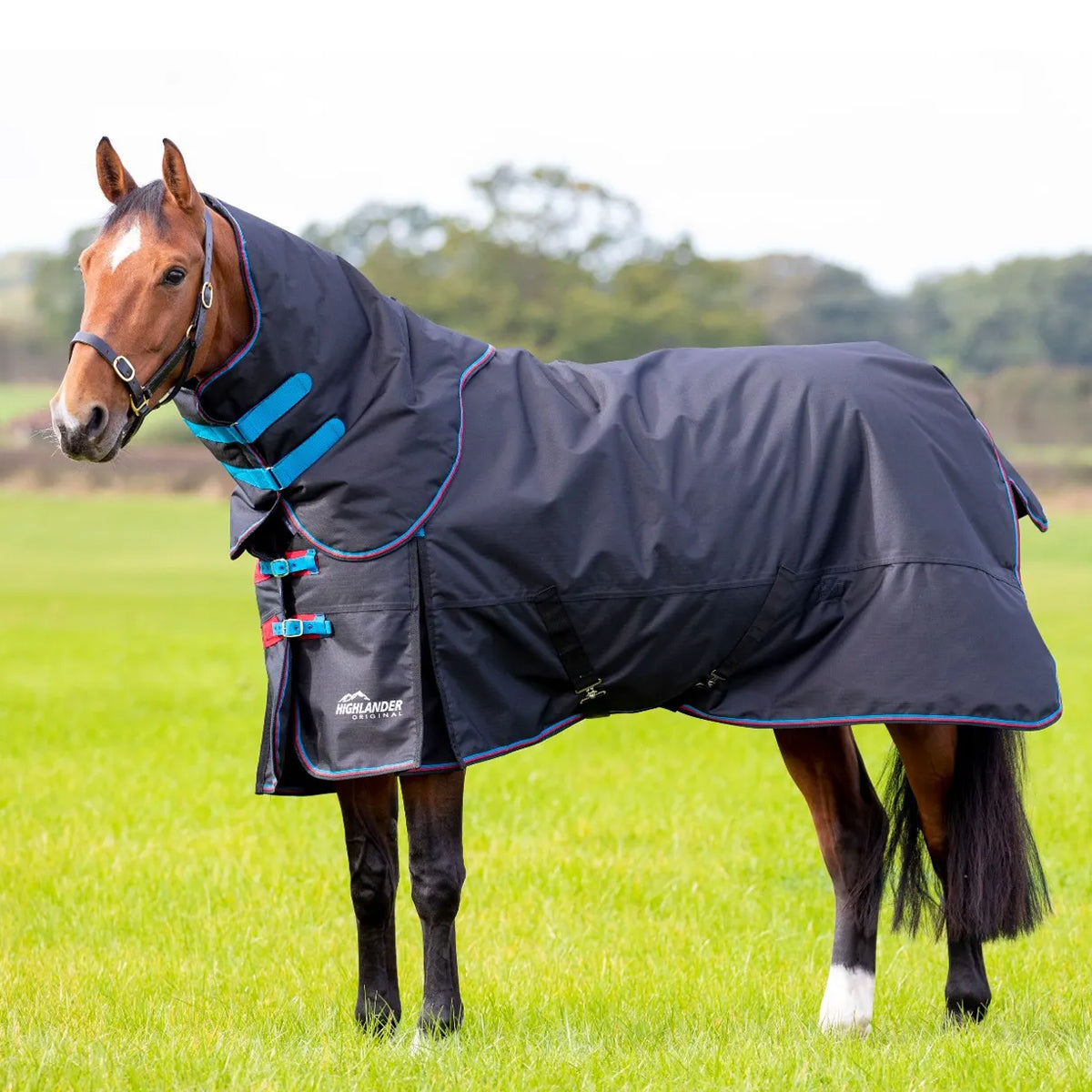 SHIRES EQUESTRIAN SHIRES EQUESTRIAN COPERTA DA PADDOCK CON COLLO 200 GR Nero COPERTE DA PADDOCK 32SH-9396 BLACK 
