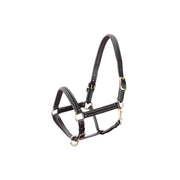 TATTINI TATTINI CAPEZZA CUOIO DOPPIA BOMBATURA Nero per capezzini e capezze 30TA-2002603 NERO 