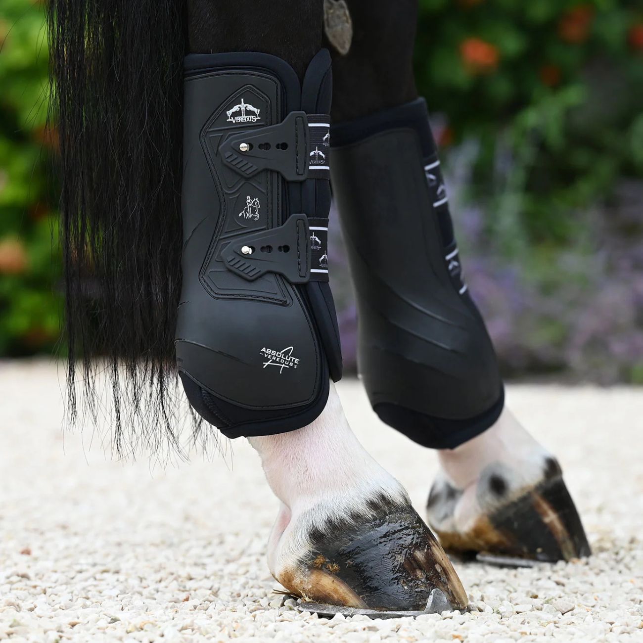 VEREDUS Paratendini Posteriori Da Dressage Absolute Elastic Veredus 09VEADER BLACK 