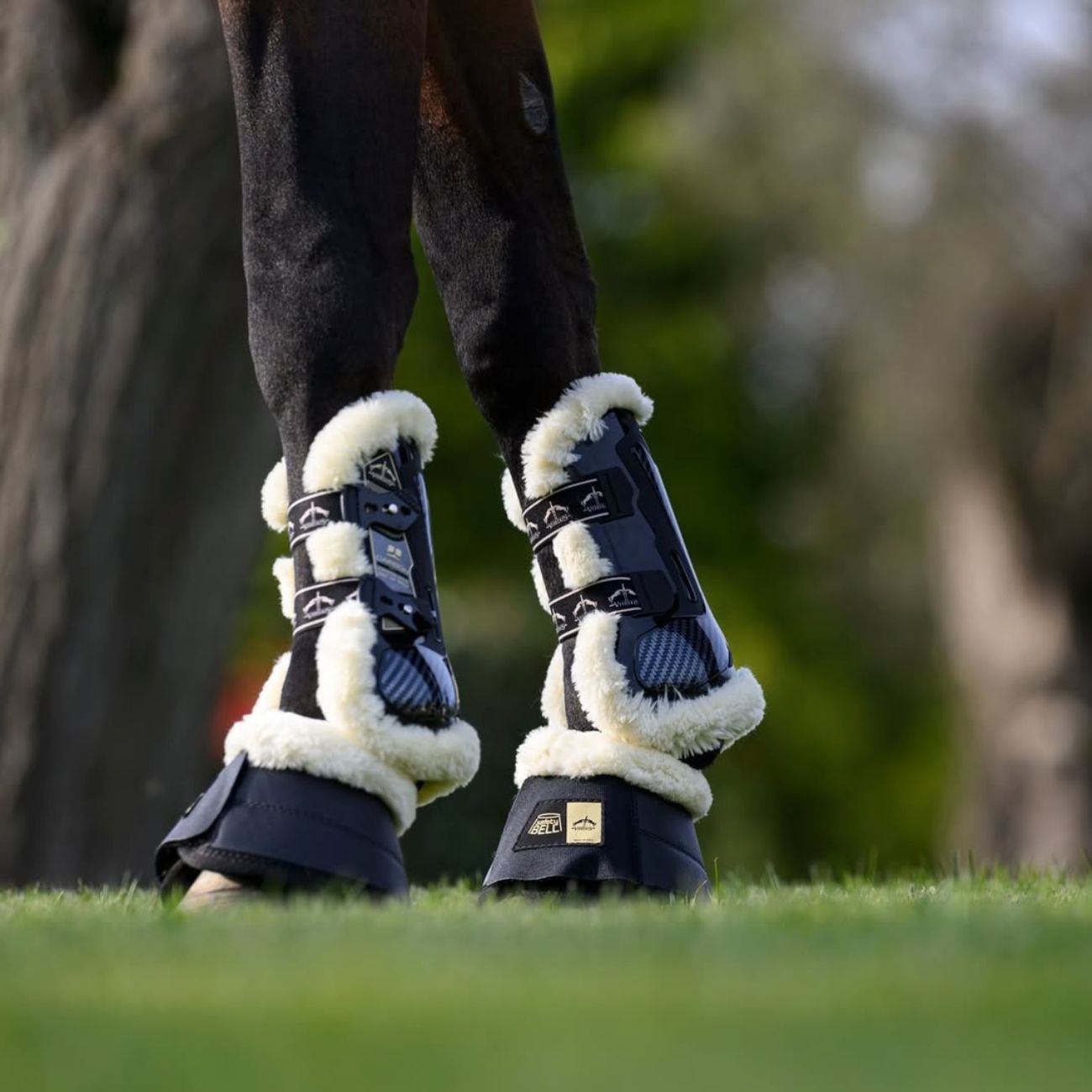VEREDUS Paratendine Carbon Gel Absolute Jumping Save The Sheep Veredus Nero CGAF-STS BLACK 