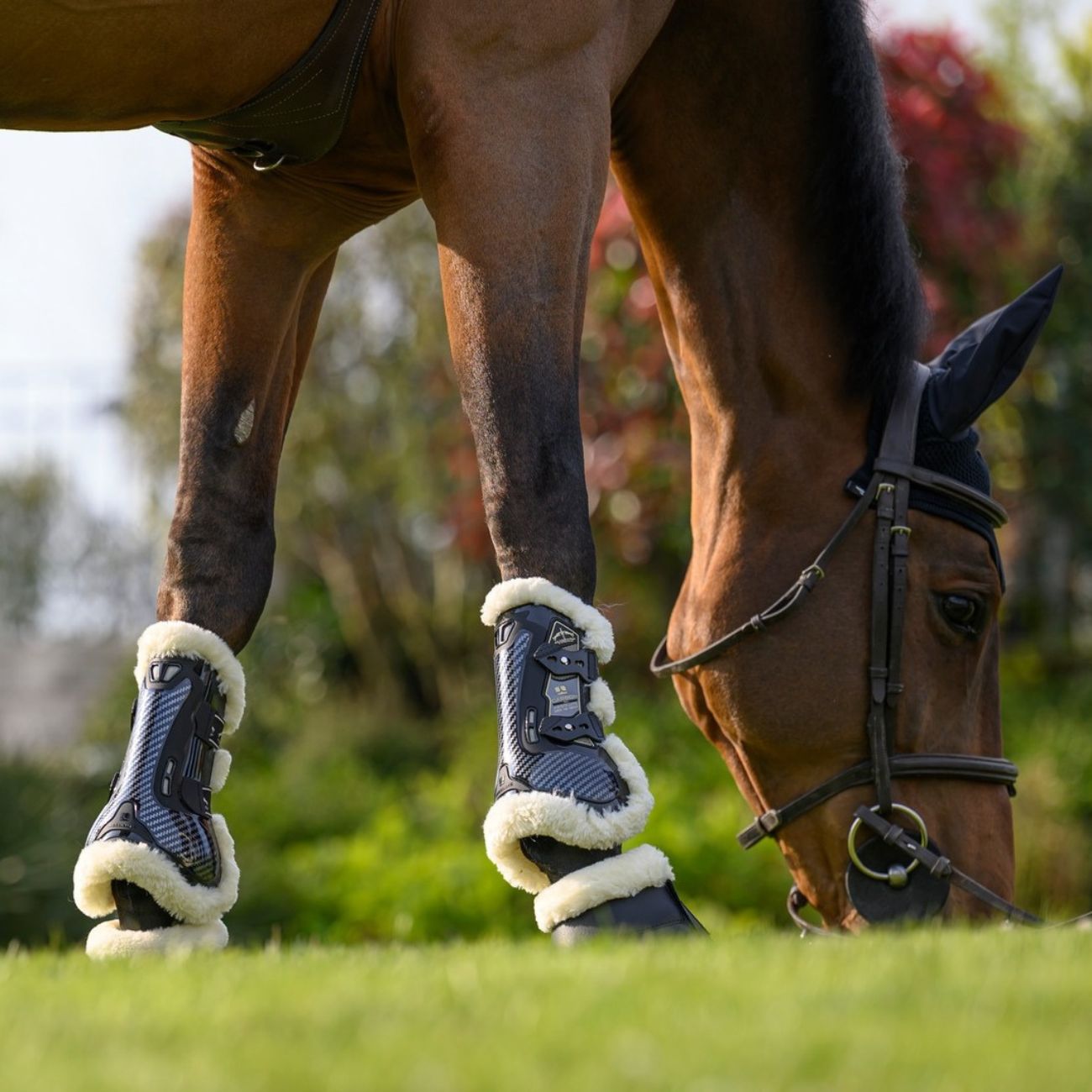 VEREDUS Paratendine Carbon Gel Absolute Jumping Save The Sheep Veredus Nero CGAF-STS BLACK 