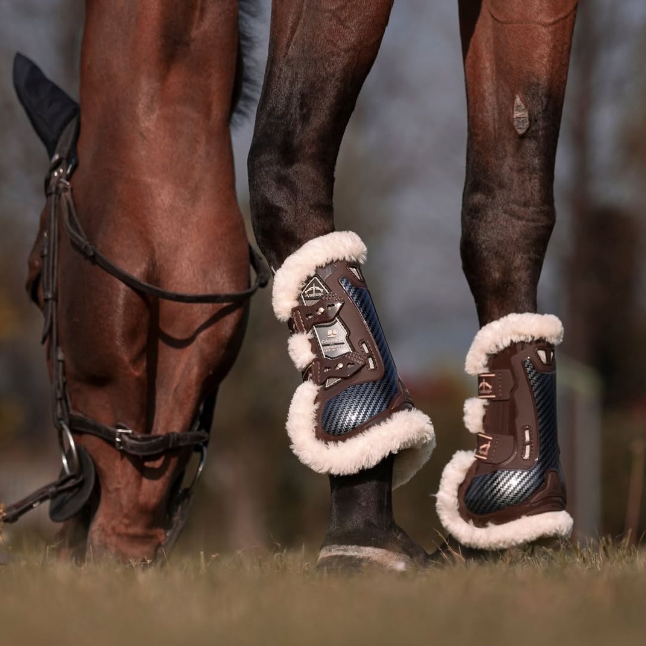 VEREDUS Paratendine Carbon Gel Absolute Jumping Save The Sheep Veredus Marrone CGAF-STS BROWN 