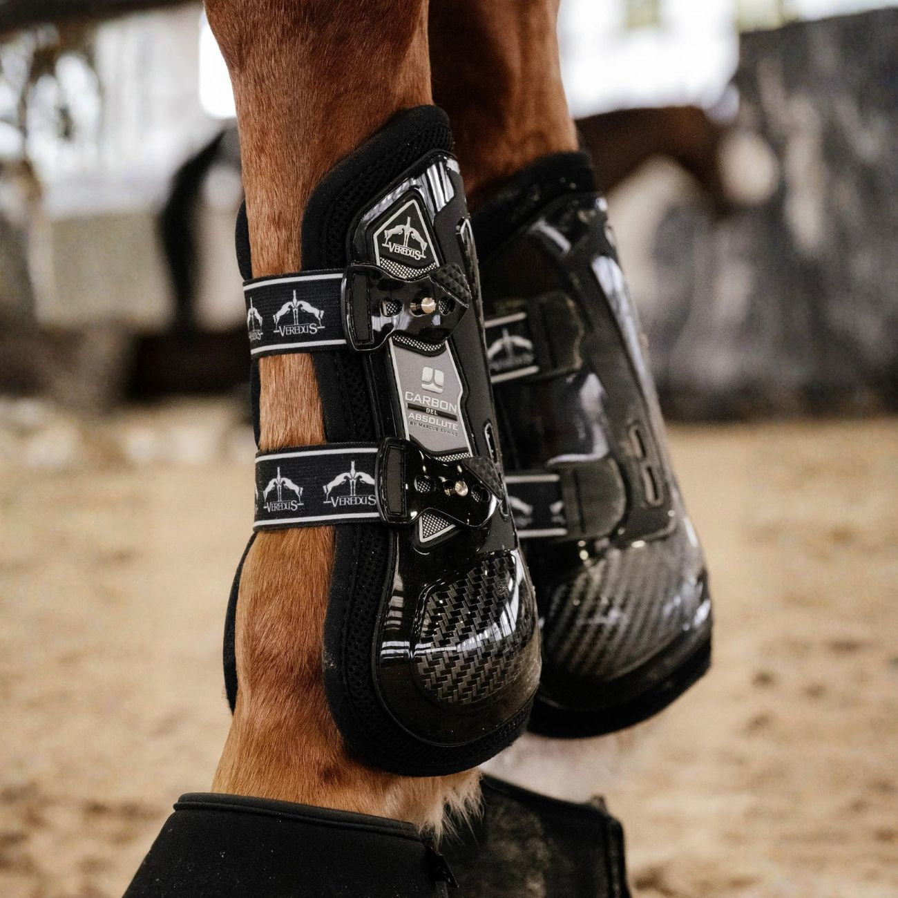 VEREDUS Paratendini Anteriori Carbon Gel Absolute Veredus Nero CGAF BLACK 