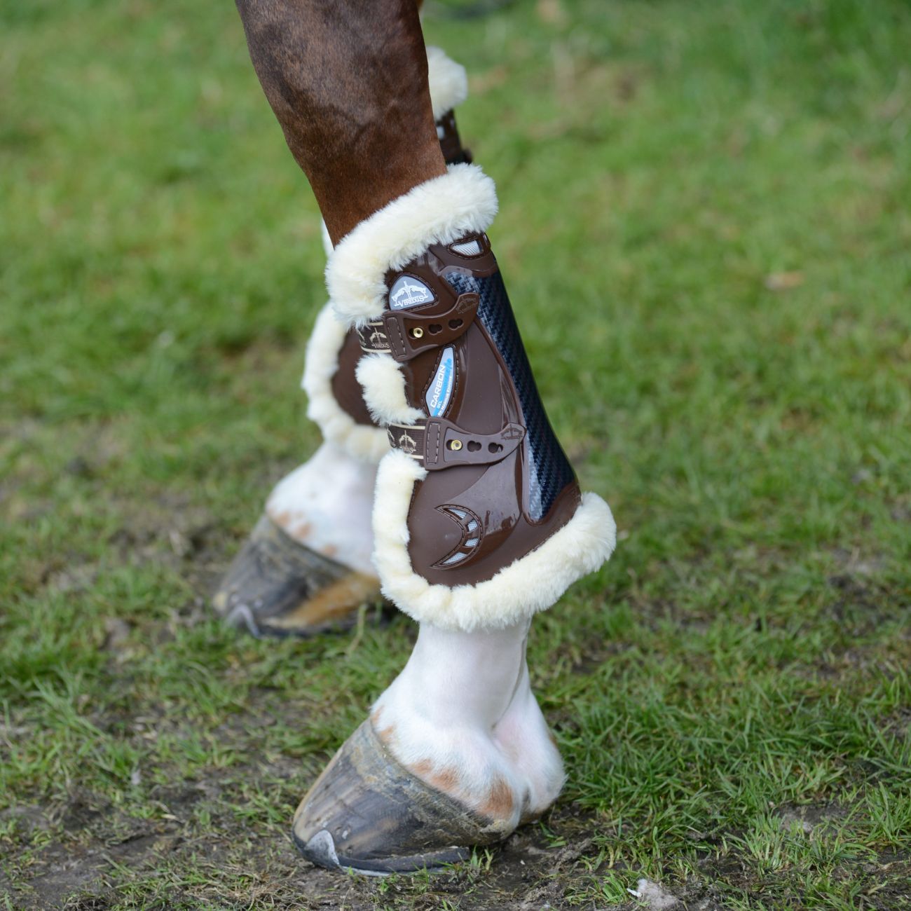 VEREDUS Paratendini Anteriori Carbon Gel Vento Save The Sheep Veredus Marrone CGVF-STS BROWN 