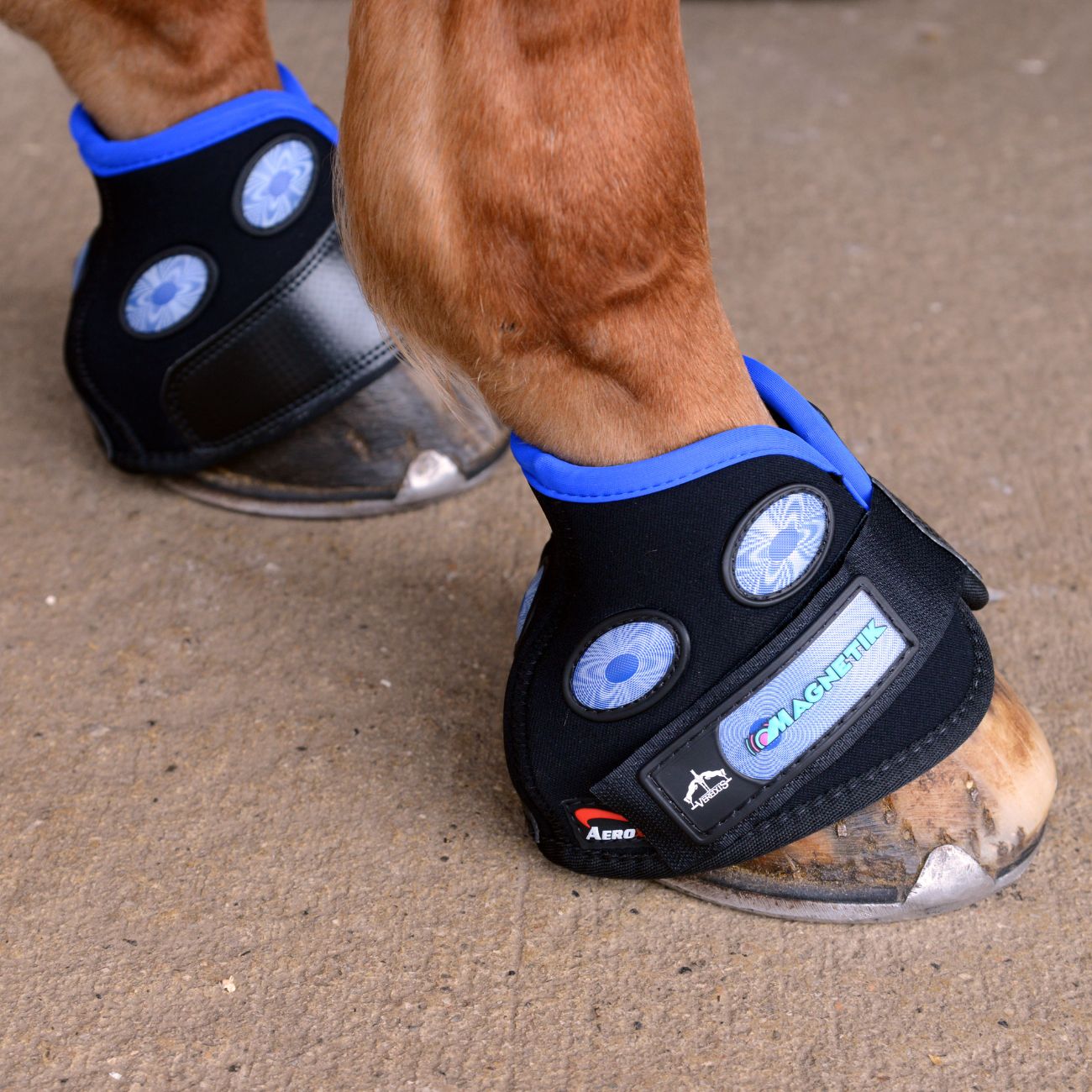 VEREDUS Ghetta Per Pastorale E Zoccolo Magnetik Hoof Veredus MHF BLACK 