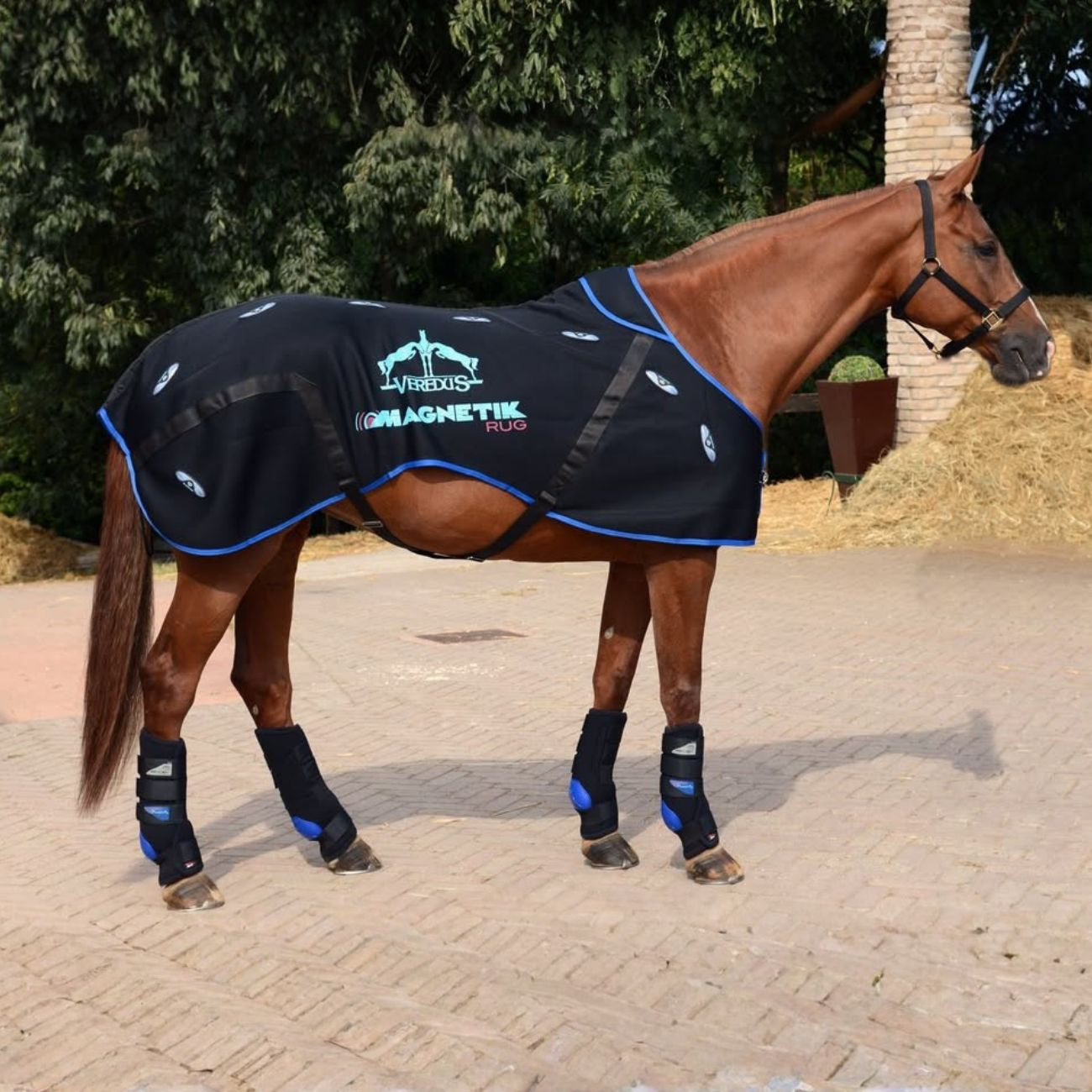 VEREDUS Coperta Per Magnetoterapia Magnetik Rug Veredus MR BLACK 