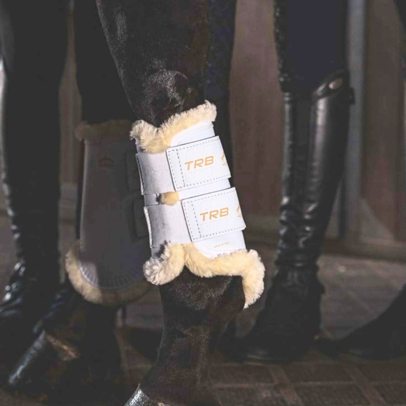 VEREDUS Stinchiere Anteriori TRB Save The Sheep Bianco TRBSTSF WHITE 