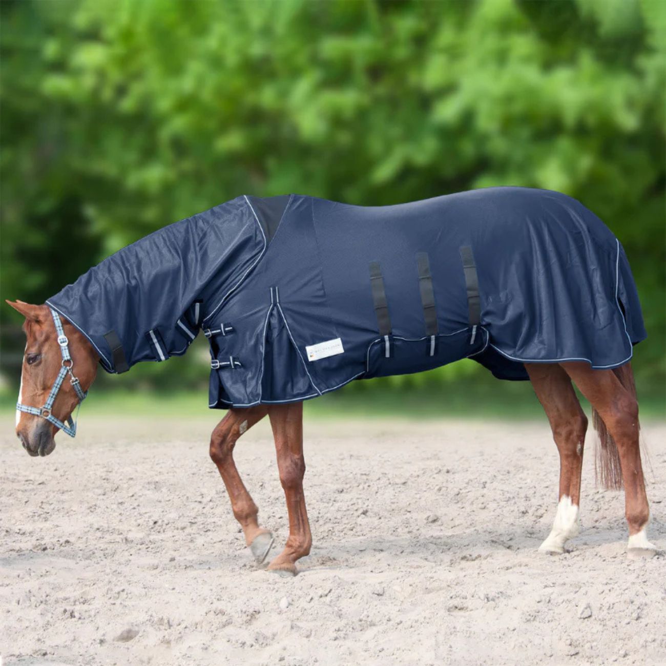 WALDHAUSEN Coperta Antimosche Con Collo Elastico Waldhausen 09WL63174005 NAVY 