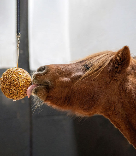 LIK IT LIK IT LIKIT GRANOLA STALL-BALL 1,6 KG WALDHAUSEN Melassa Integratori 15615 03MELASSA 