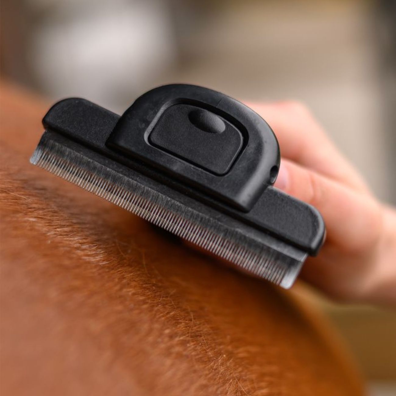 WALDHAUSEN Spazzola Per Pelo Con Impugnatura In Gel L 38282 01NERO 