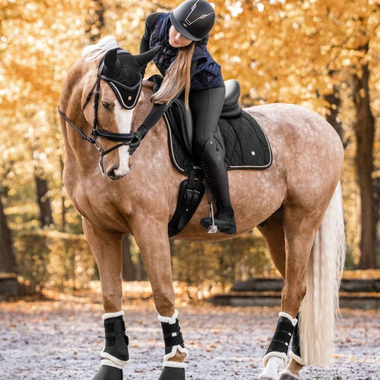 WALDHAUSEN Coppia Di Parastinchi Da Dressage Comfort Waldhausen 38662 01BLACK 