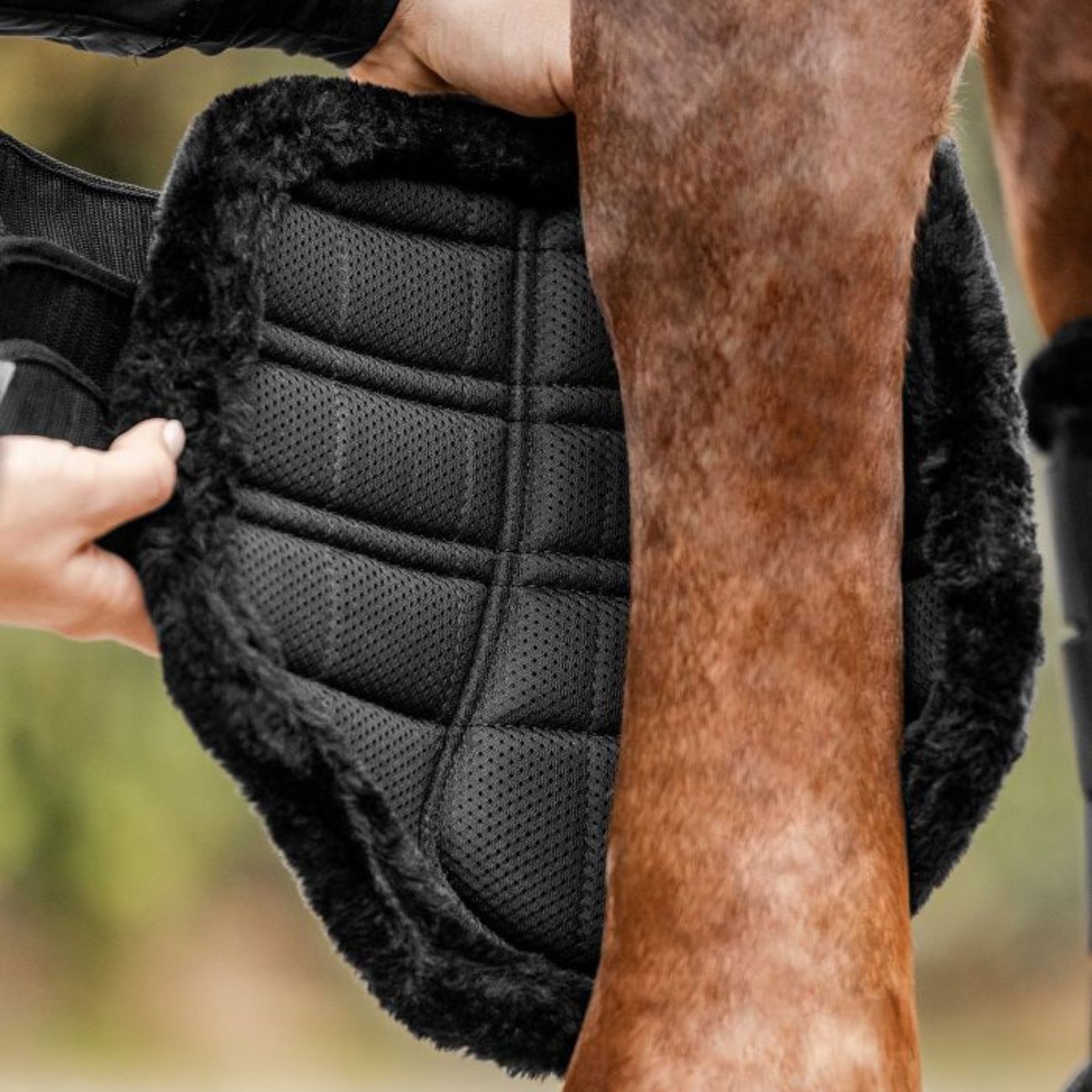 WALDHAUSEN Coppia Di Paratendini Da Dressage Comfort Light Waldhausen 38665 01BLACK 