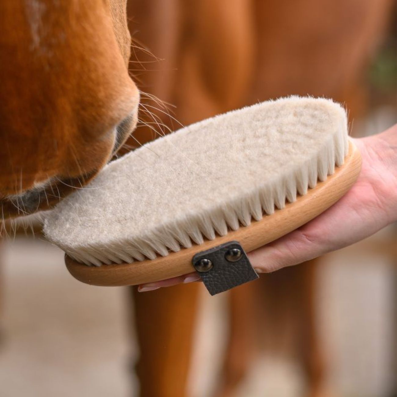 WALDHAUSEN Brusca Polishing Brush Exclusive Line Waldhausen 3874419 NEUTRO 