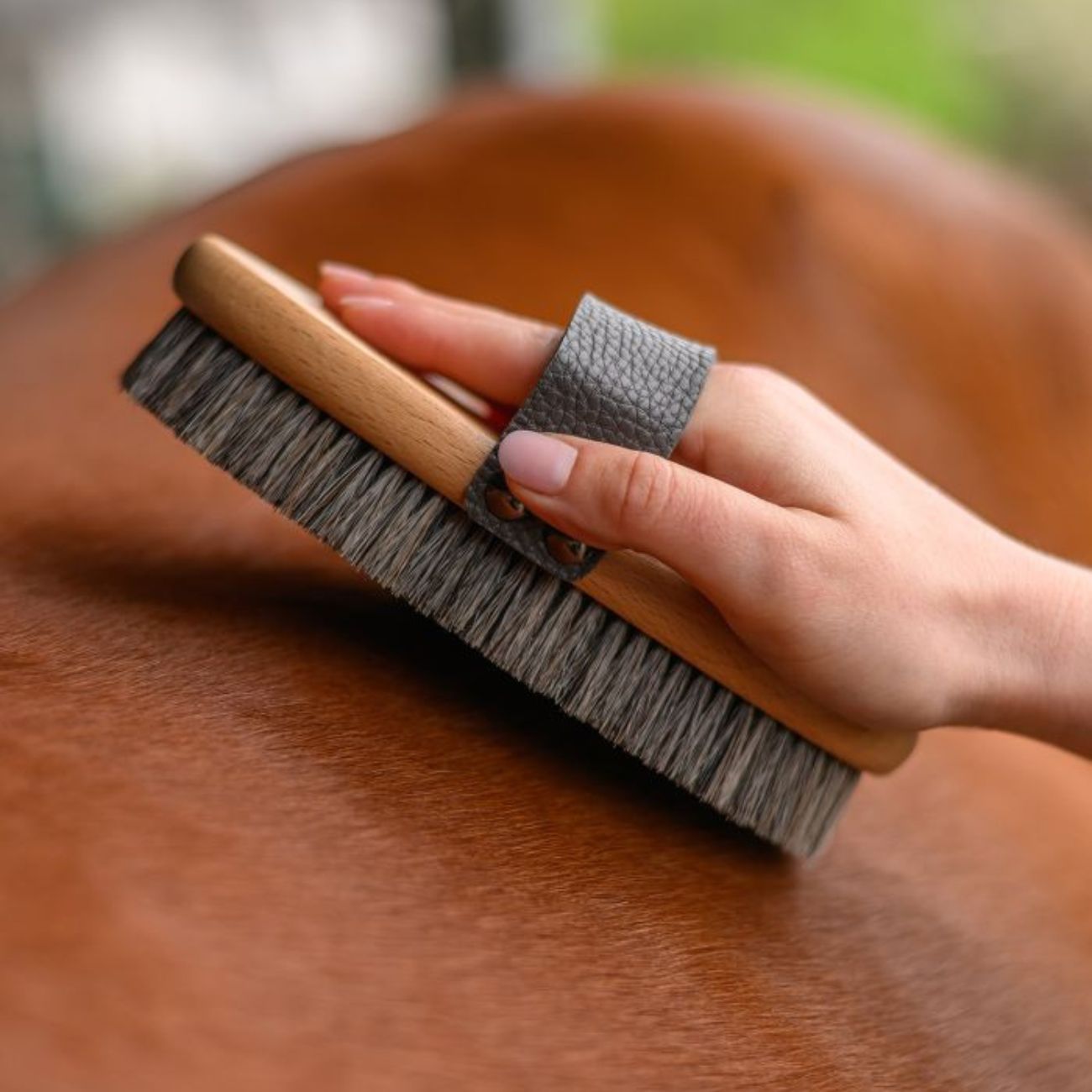 WALDHAUSEN Brusca Grooming Brush Exclusive Line Waldhausen 3874519 NEUTRO 