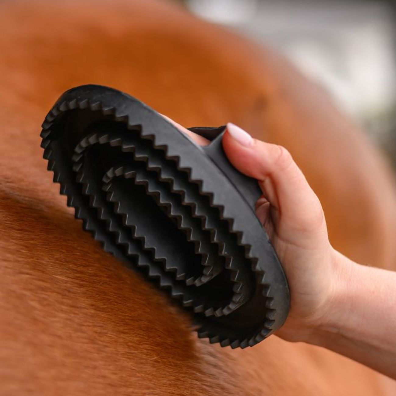 WALDHAUSEN Striglia Rubber Curry Comb Waldhausen 600801 NEUTRO 