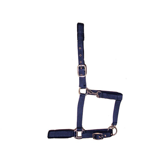 DASLO Capeza Regolabile Daslo 09TA2001003 BLU 