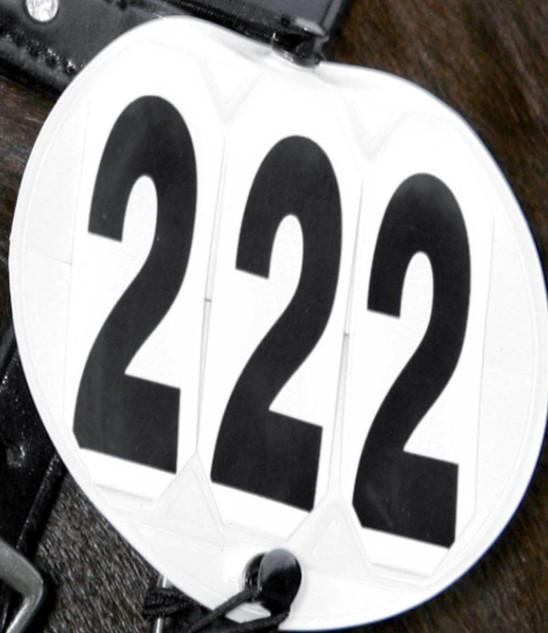 09WL-1748 BIANCO AMAHORSE