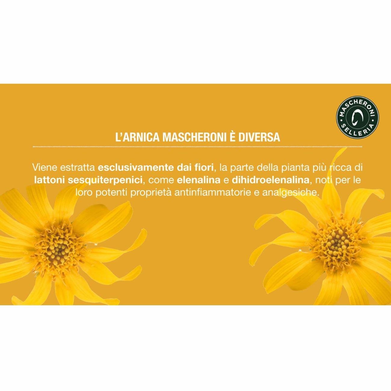 ARNICA FREEZE - 500ML MC0006 NEUTRO MASCHERONI SELLERIA 