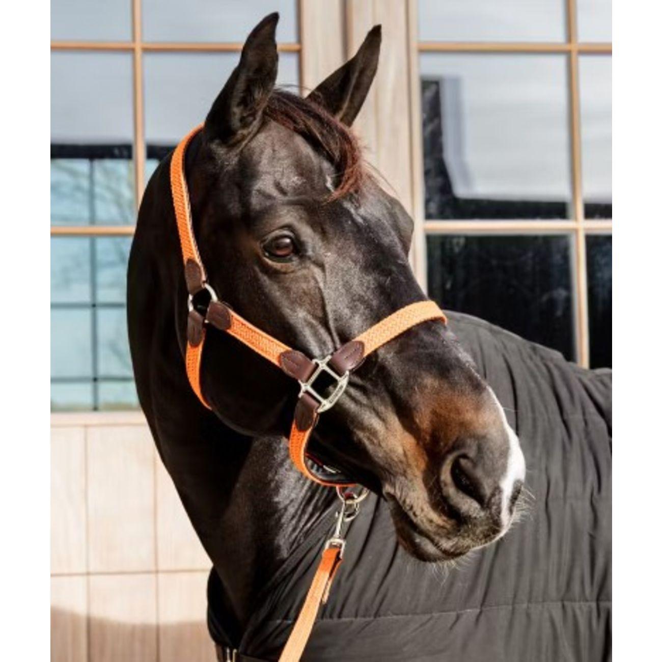 Capezza In Nylon Kentucky Arancione 42516 45ORANGE KENTUCKY 