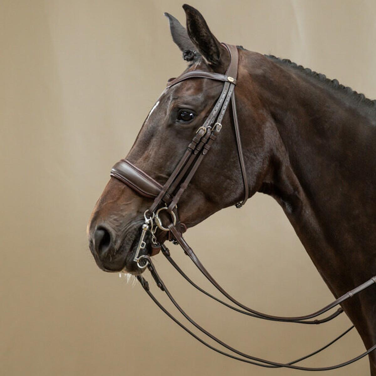 BRIGLIA DA DRESSAGE IN CUOIO WORKING COLLECTION 09DY-WOECAR BROWN DY'ON 