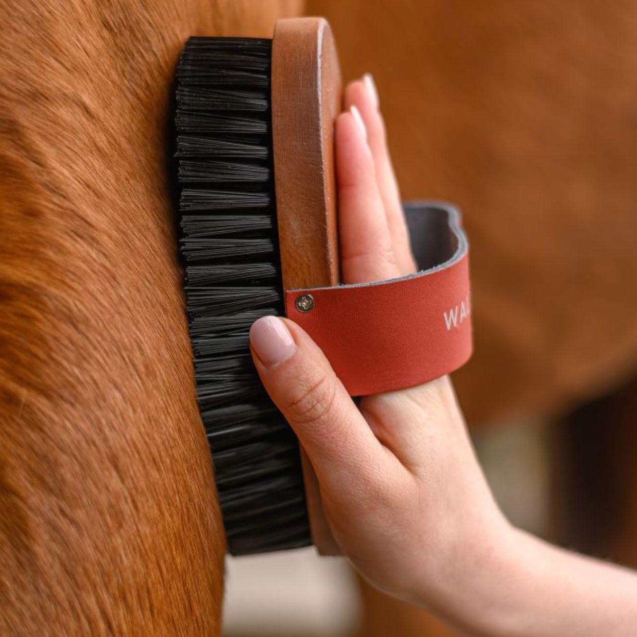 Brusca Hardwood Con Setole Sintetiche Waldhausen 3825301 LEGNO WALDHAUSEN 