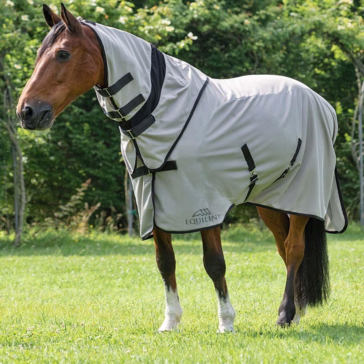 EQUILINE 09EQ-A11043034ALLUMINIO Argento nan COPERTE DA PADDOCK 09EQ 09EQ-A11043 034ALLUMINIO EQUILINE 