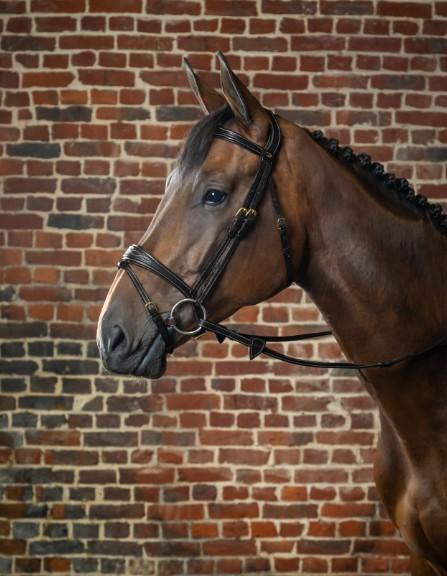 DY'ON ANATOMIC FLASH NOSEBAND BRIDLE D COLLECTION Nero BRIGLIE DYABAB BLACK DY'ON 