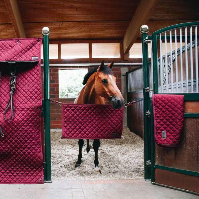 Cancelletto Da Box 92x53cm Kentucky Bordeaux 82102 17BORDEAUX KENTUCKY 
