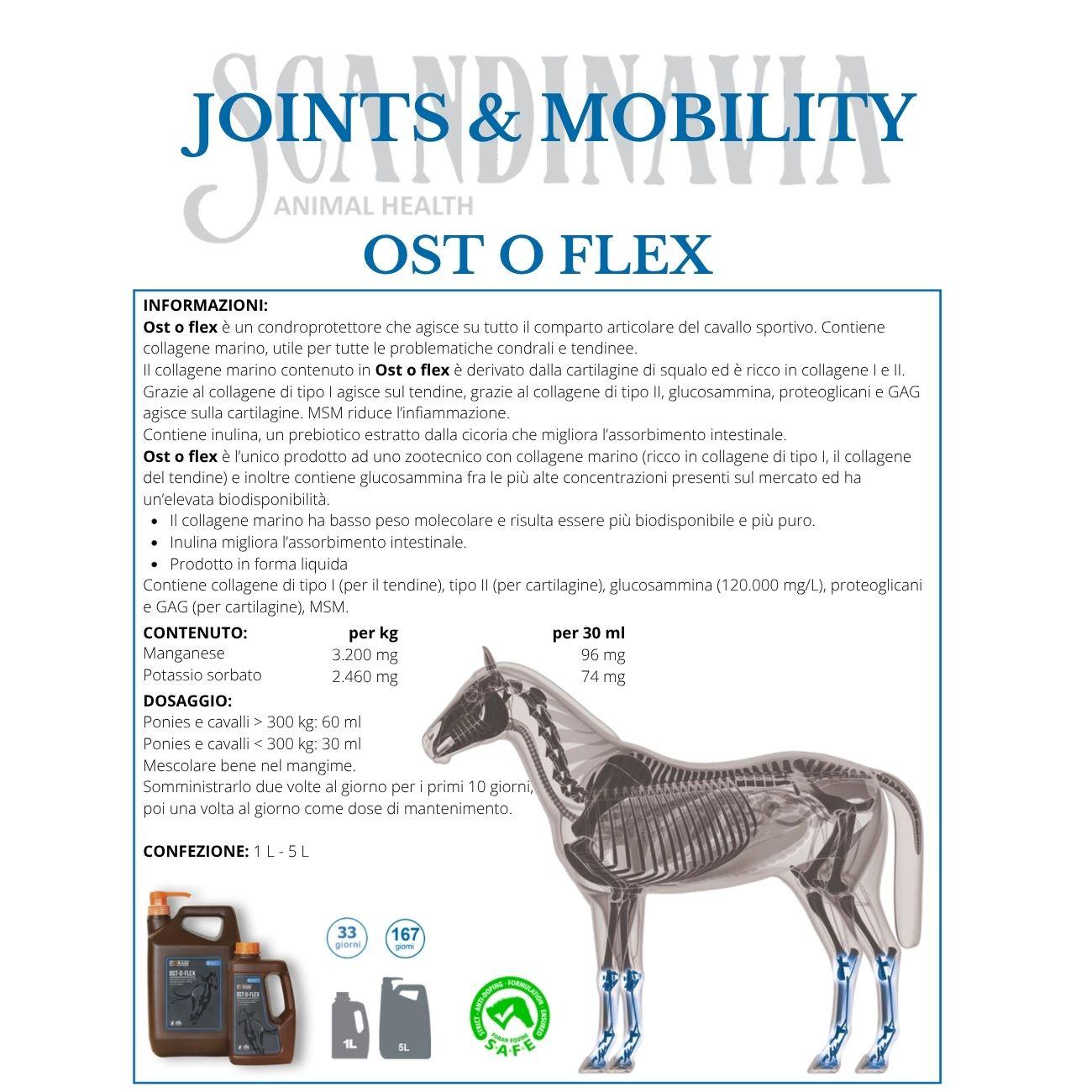 Ost-O-Flex 1L Foran Equine 1109 NEUTRO FORAN 