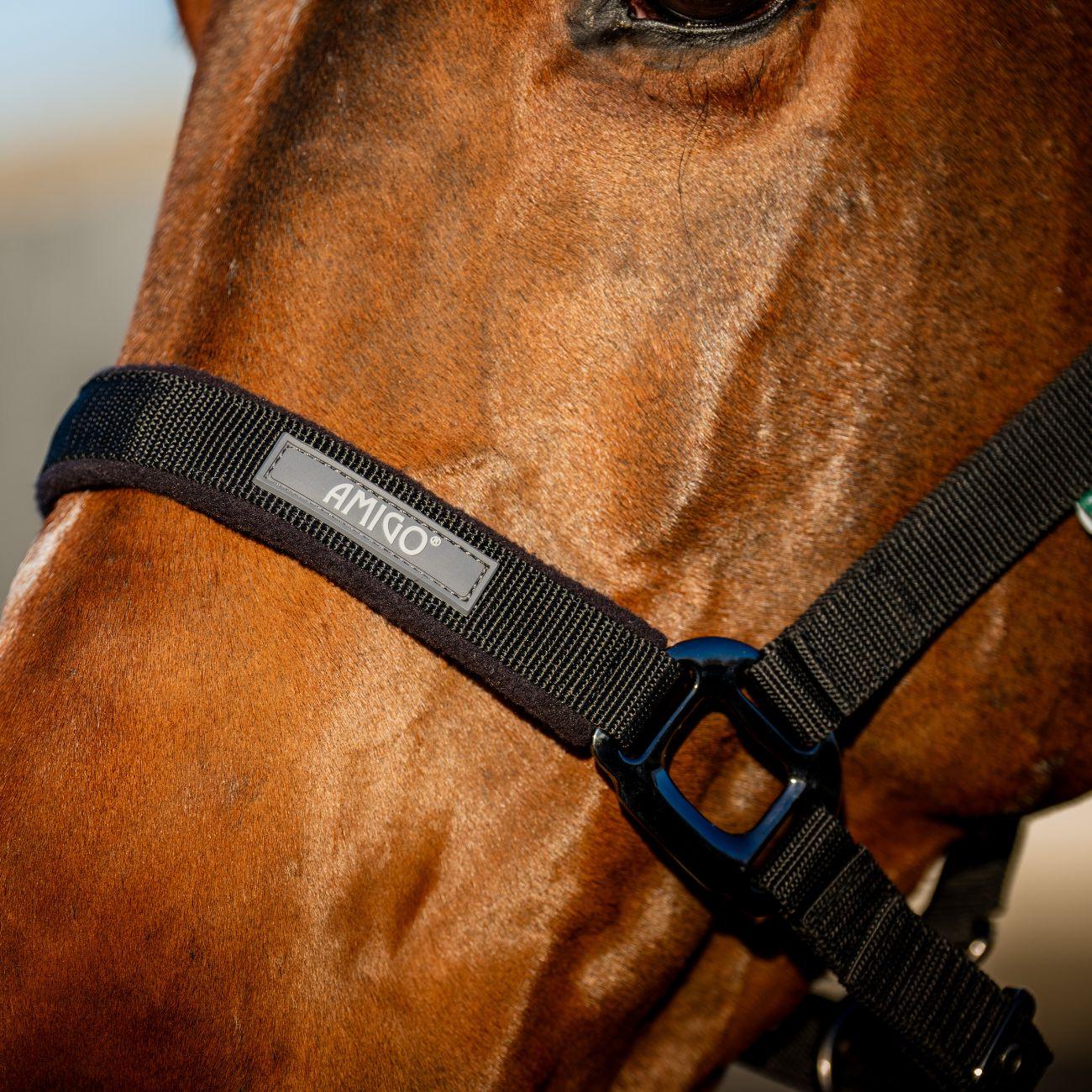 Set Capezza E Lunghina Amigo Horseware Nero DHRX01 K000BLACK HORSEWARE 