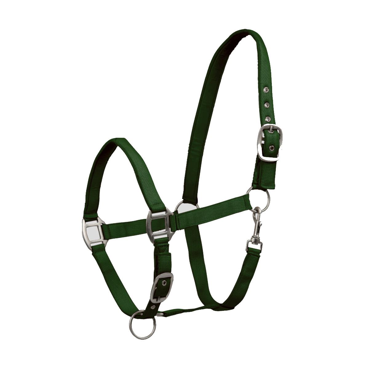 Waldhausen PERLON HALTER SATIN Verde CAPEZZINI E CAPEZZE 5025 64GREEN WALDHAUSEN 